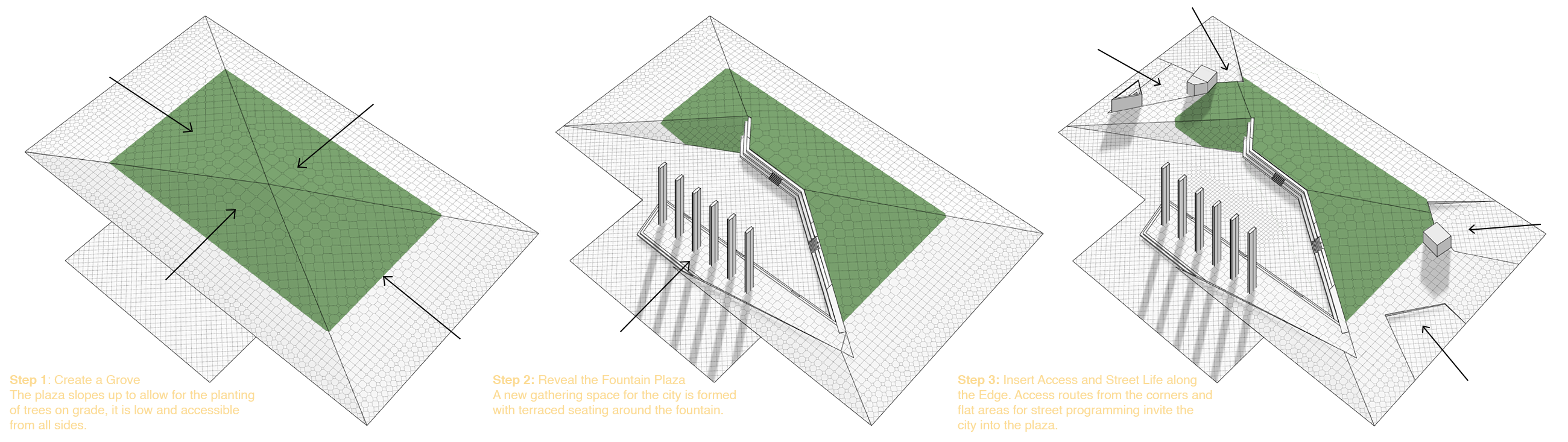 681_LightField_08b_trans
