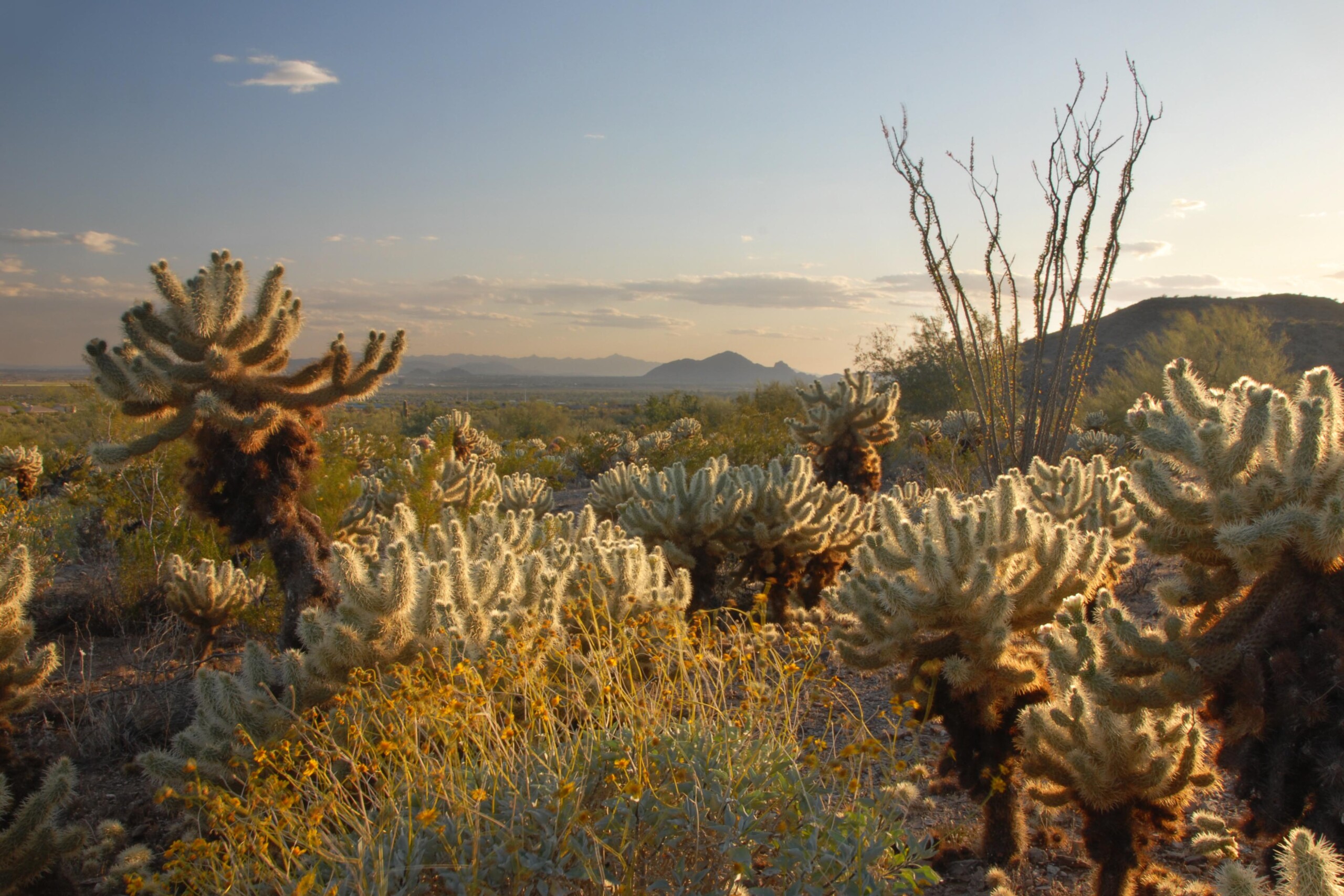 508b3993-3f3f-4b62-b876-95edb257e4d35294517845973214656