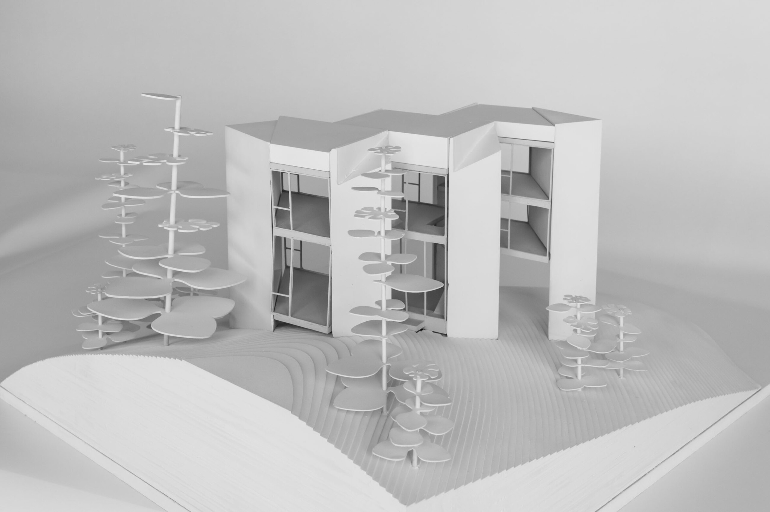 Crossway_houseWS_MODEL_2_bw-4