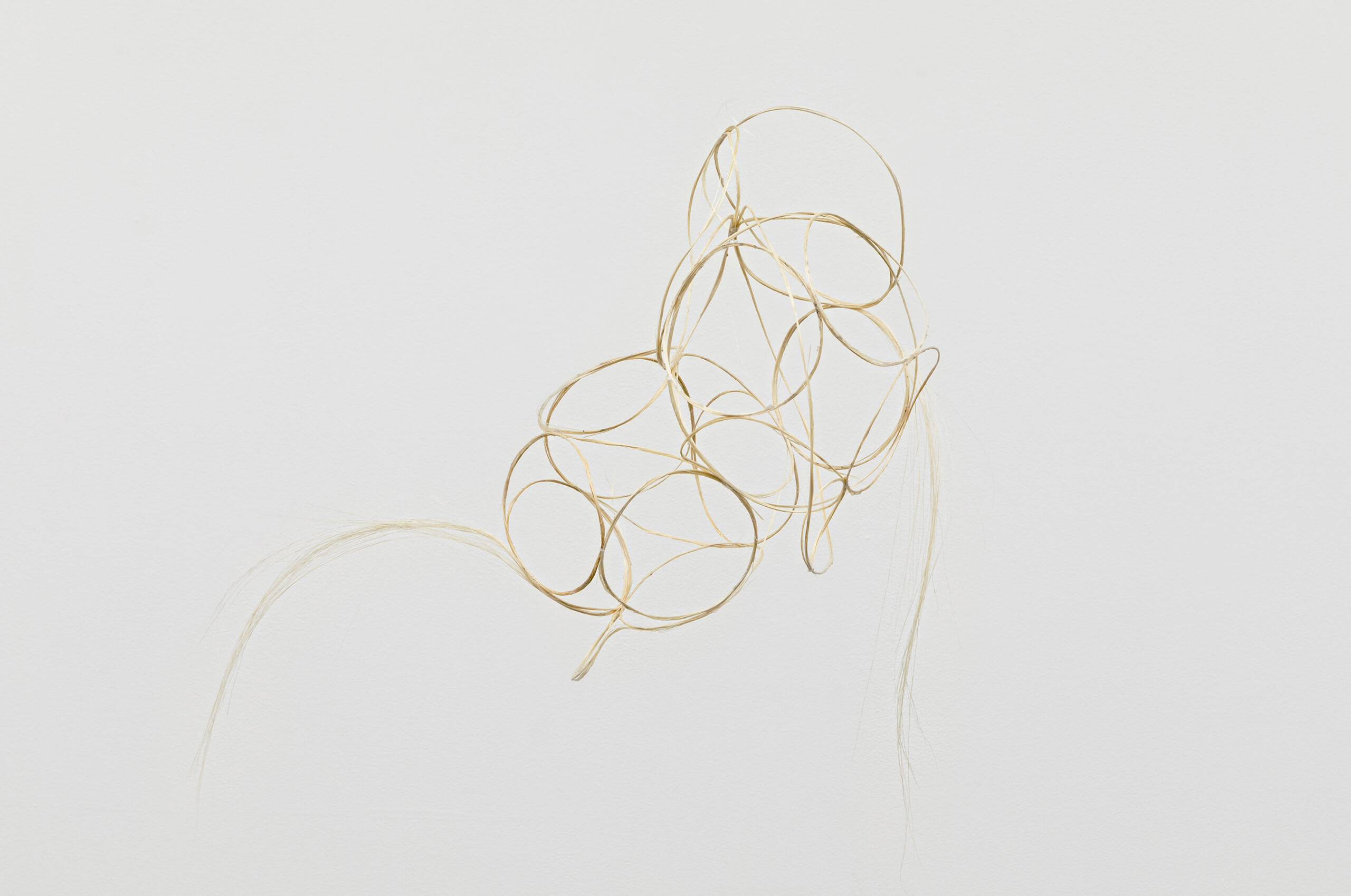 422 Agave Fiber 3000