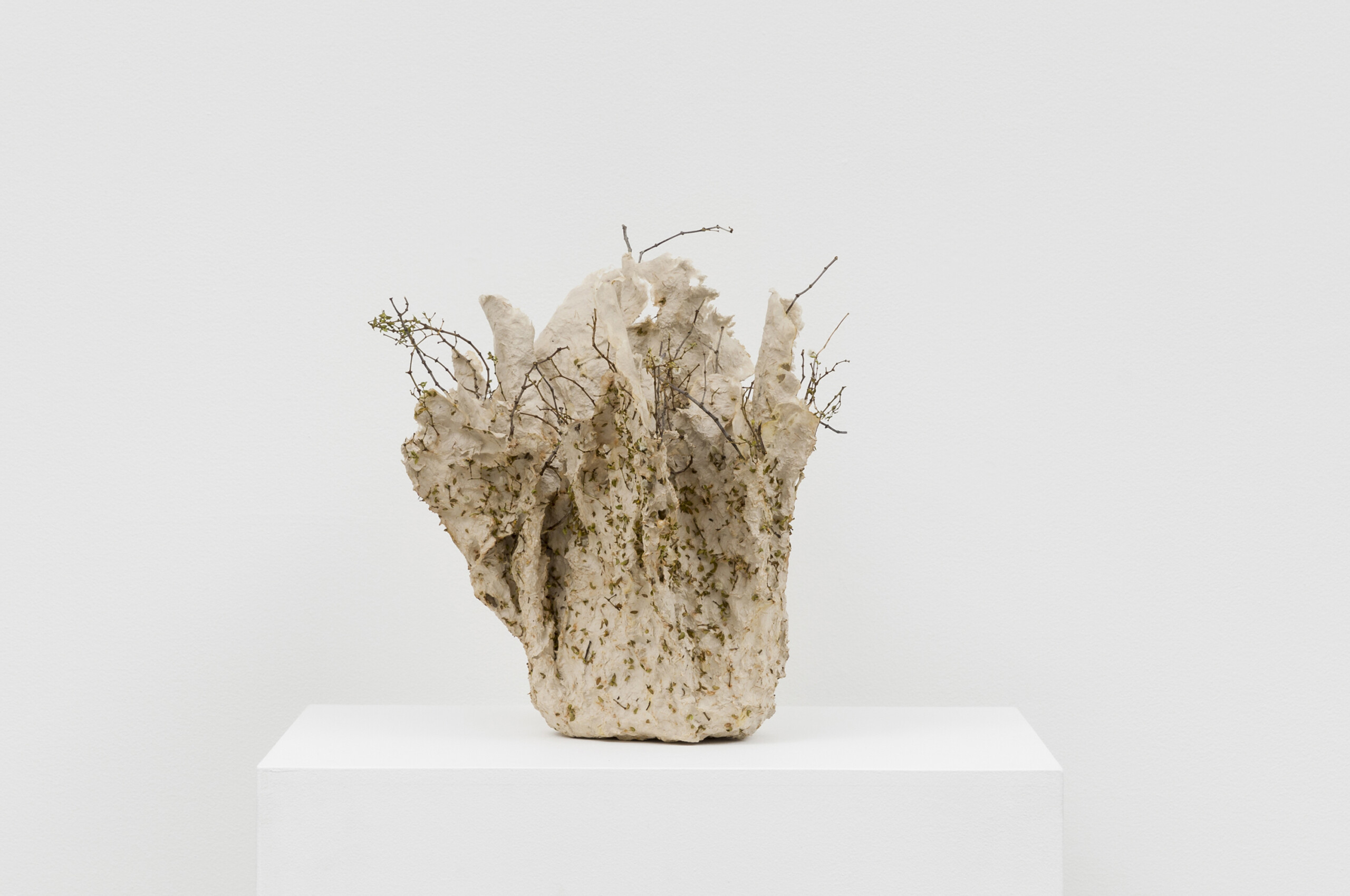 422 Desert Paper 11 3000