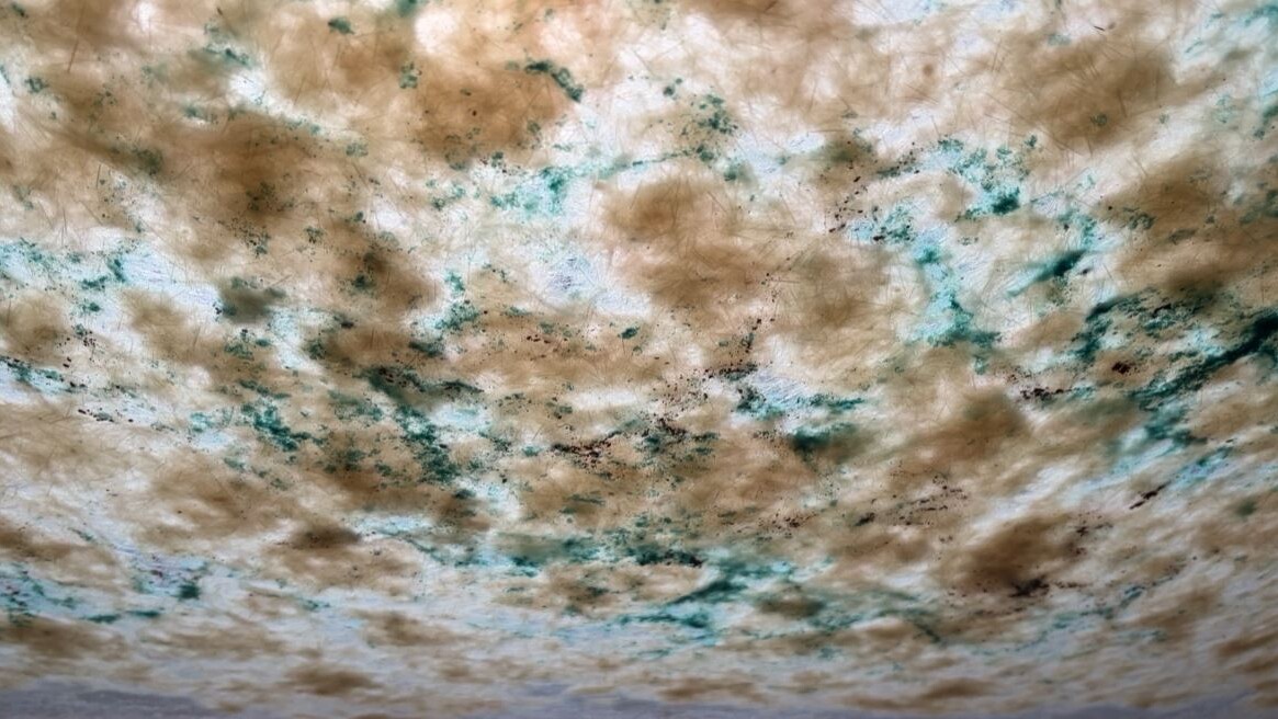 422_Process_paper clouds 01