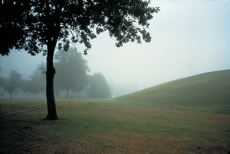 Another_Circle_MillerRace_07