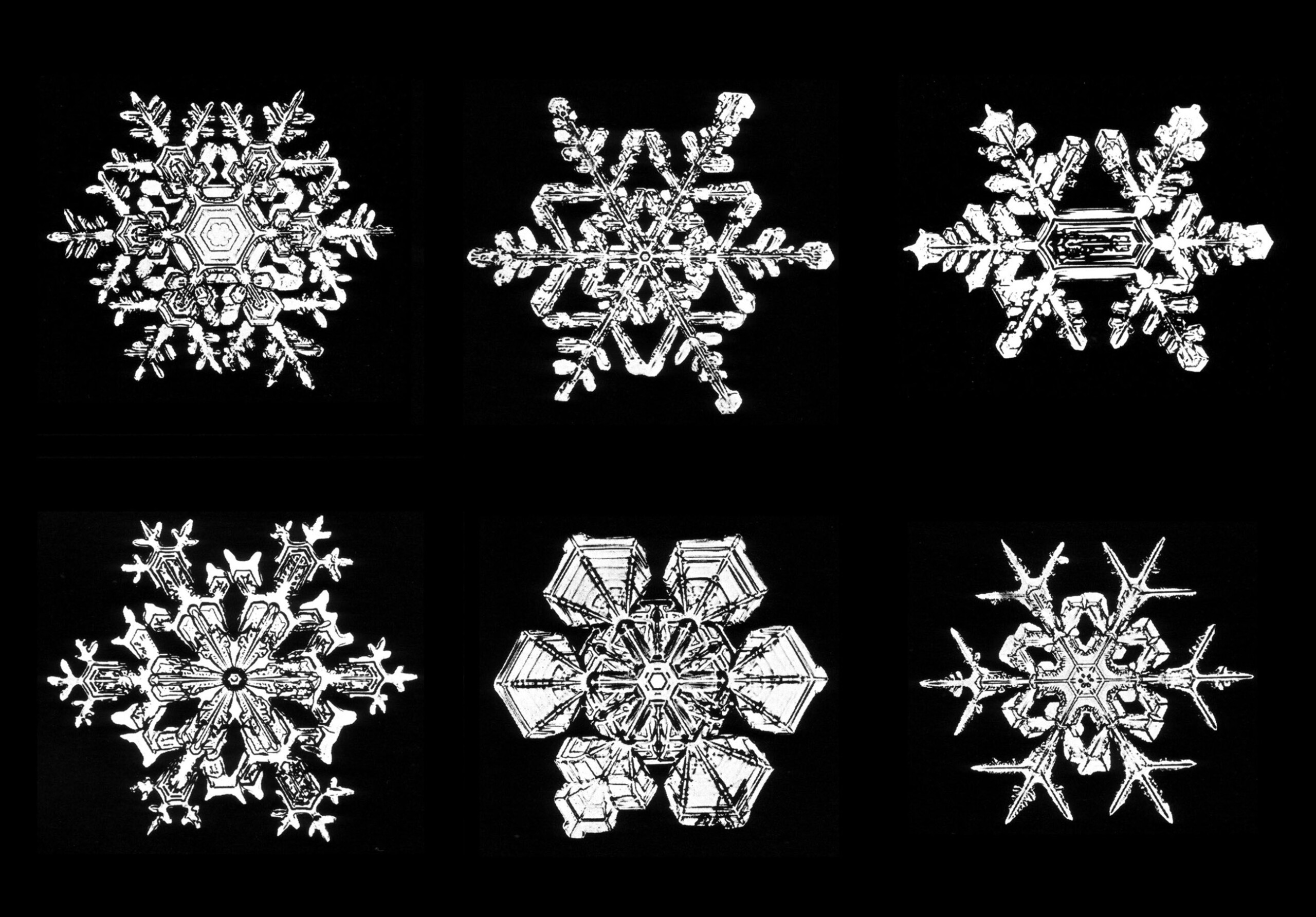 510_rules-of-six-AL_1