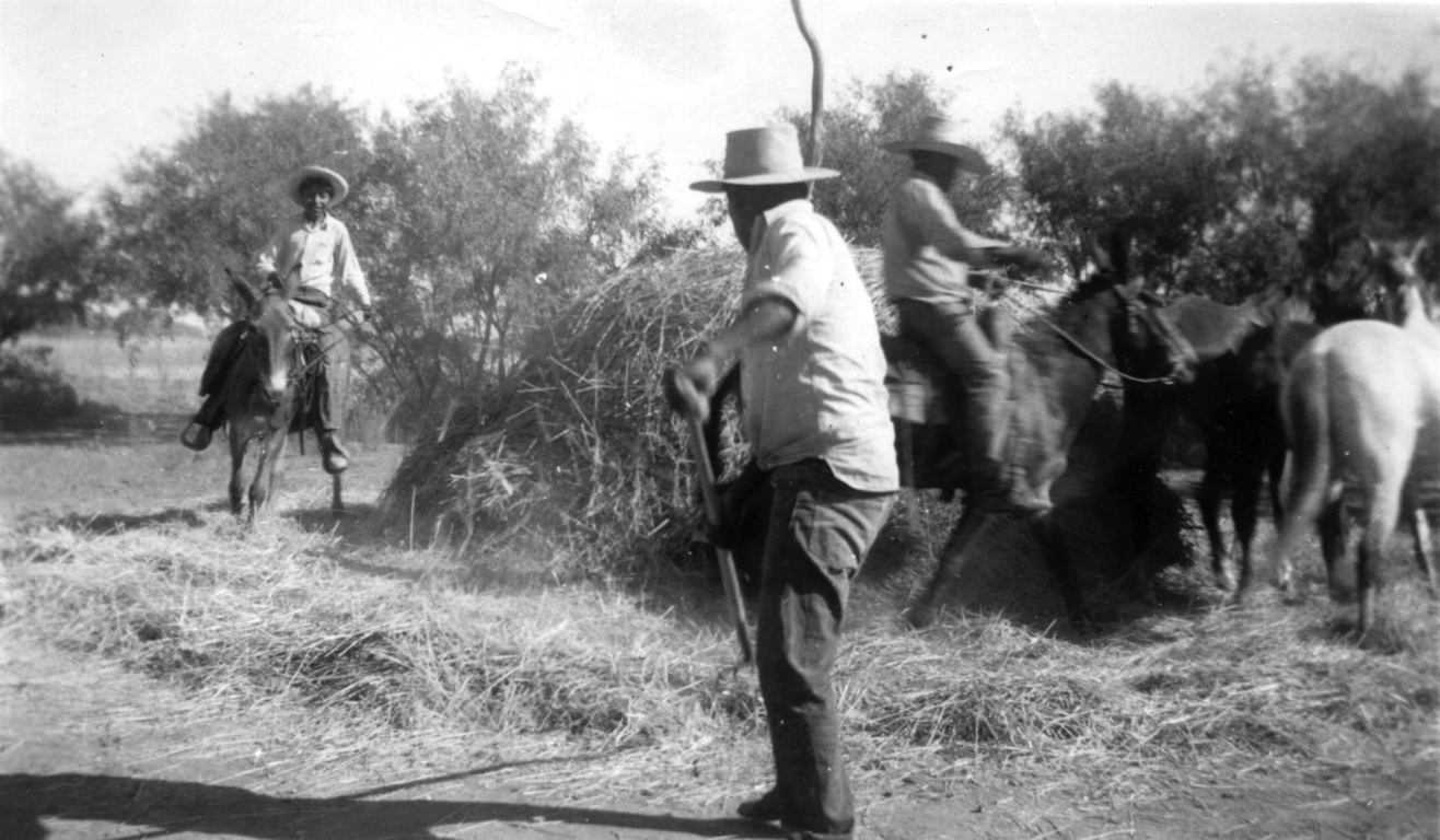 Alexander Pancho Family 15