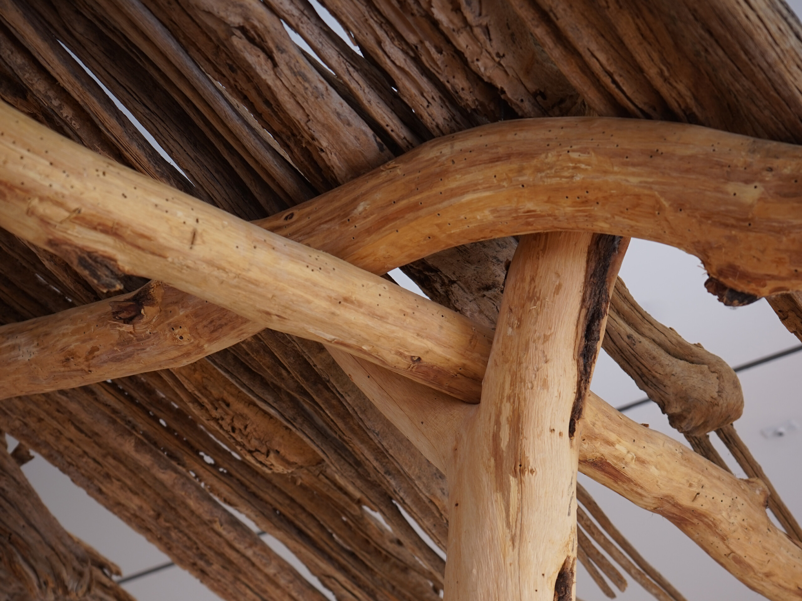 COOPER_H-362_crop_sm