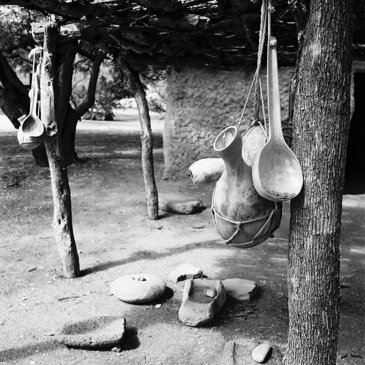 Ocotillo-house-02b-sq